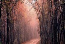 OB体育官网 -香港(gǎng)特区政府提升伊朗及以色列外游警示级别至黑色