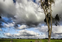 OB体育官方网站 -柳州一婚介所牵线，男子两天花29万元“闪婚”，婚后起诉收费过高，一审判令退费、二审逆转