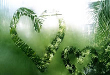 OB体育官方网站 -业绩“逆转” 食用菌概念股表现活跃