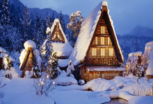 OB体育官方网站 -业绩“逆转” 食用菌概念股表现活跃