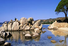 OB体育官方网站 -业绩“逆转” 食用菌概念股表现活跃