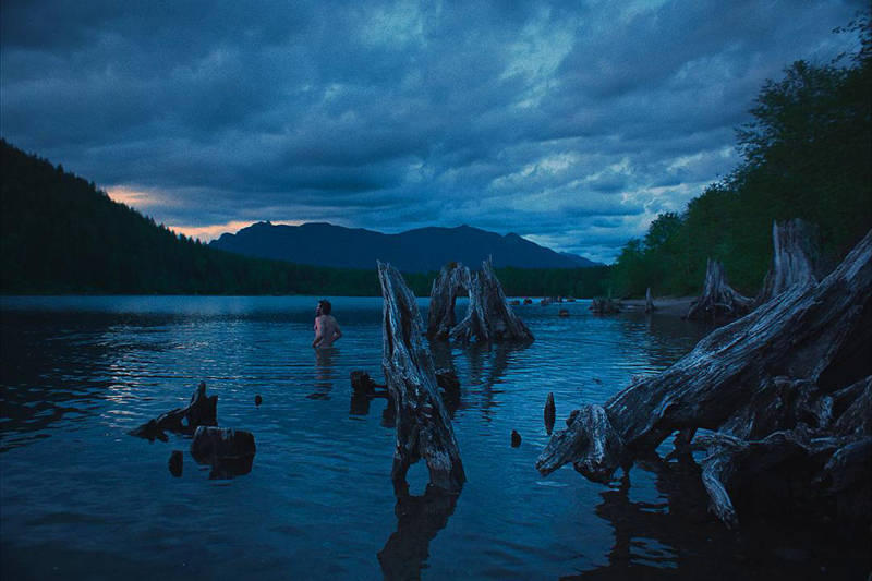 《火车梦》：奥斯卡遗珠背后的荒野世界